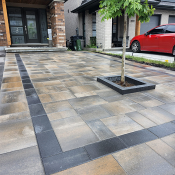 Driveway