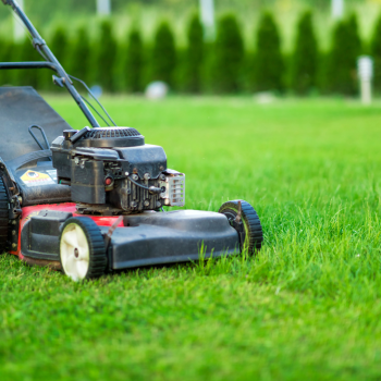 mowing