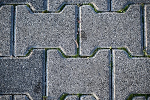 Close-up view of a grey brick walkway with moss growing in between the bricks.