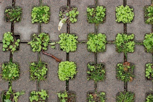 Interlocking pavement blocks with green plants sprouting through in an artistic pattern.
